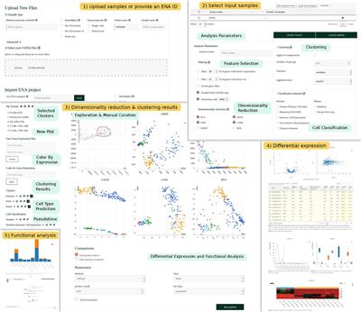 SingleCAnalyzer: Interactive Analysis of Single Cell RNA-Seq Data on the Cloud